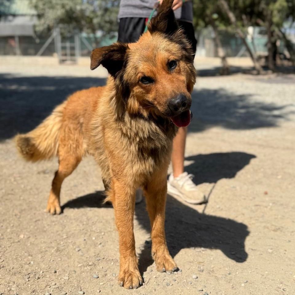 WhatsApp Image 2026-01-22 at 14.22.56 (1).jpeg