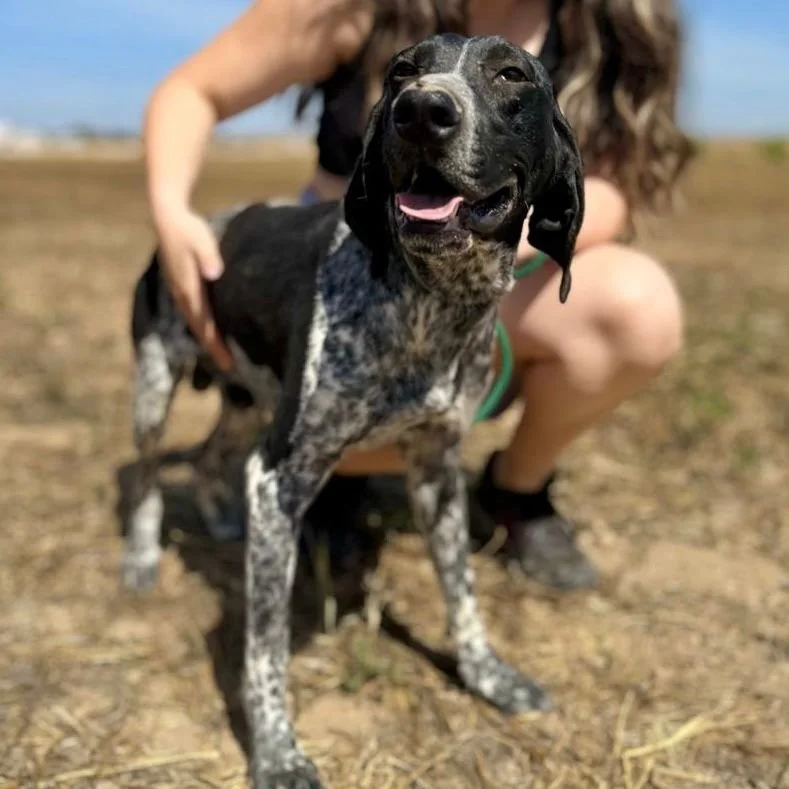 WhatsApp Image 2025-12-26 at 18.55.14.jpeg