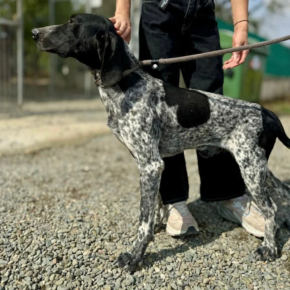 WhatsApp Image 2025-12-26 at 18.55.13 (2).jpeg