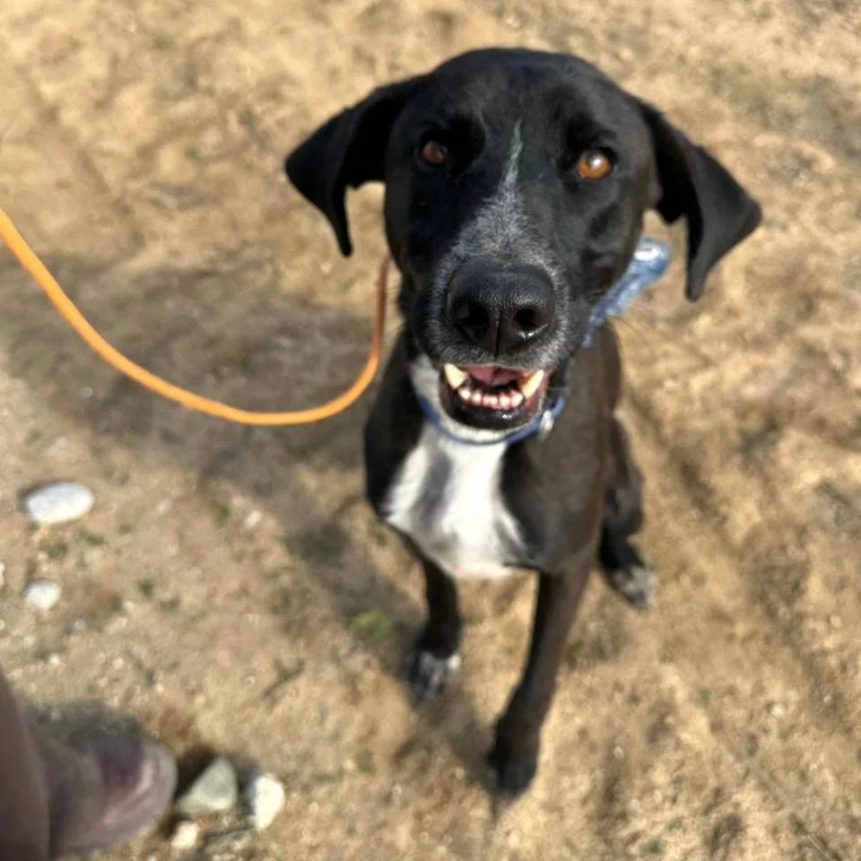 WhatsApp Image 2026-01-22 at 14.23.34 (3).jpeg