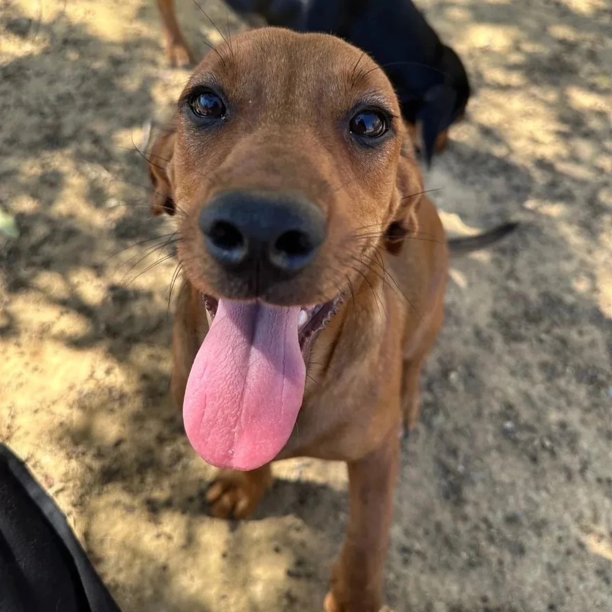 WhatsApp Image 2025-11-19 at 11.05.20 (1).jpeg