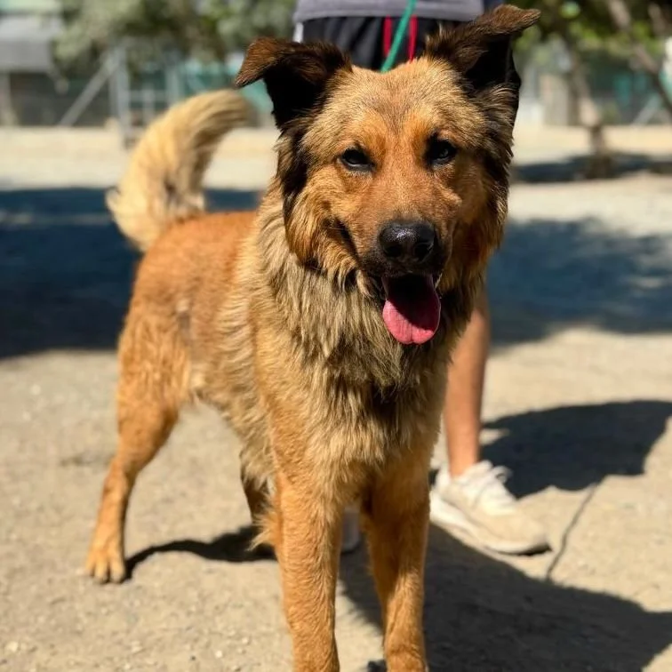 WhatsApp Image 2026-01-22 at 14.22.55 (1).jpeg