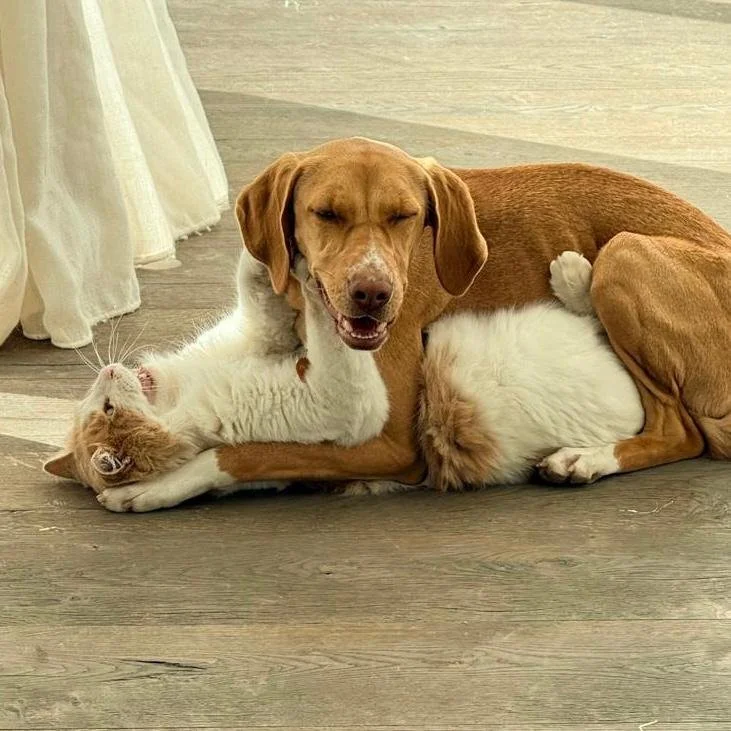 WhatsApp Image 2026-01-22 at 14.24.18.jpeg