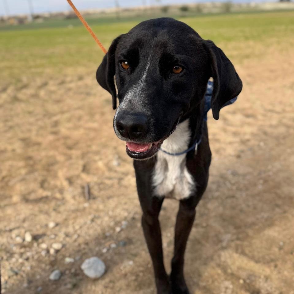 WhatsApp Image 2026-01-22 at 14.23.34 (2).jpeg