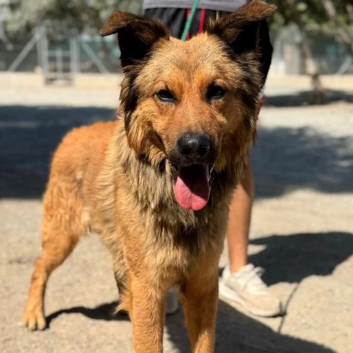 WhatsApp Image 2026-01-22 at 14.22.56 (2).jpeg