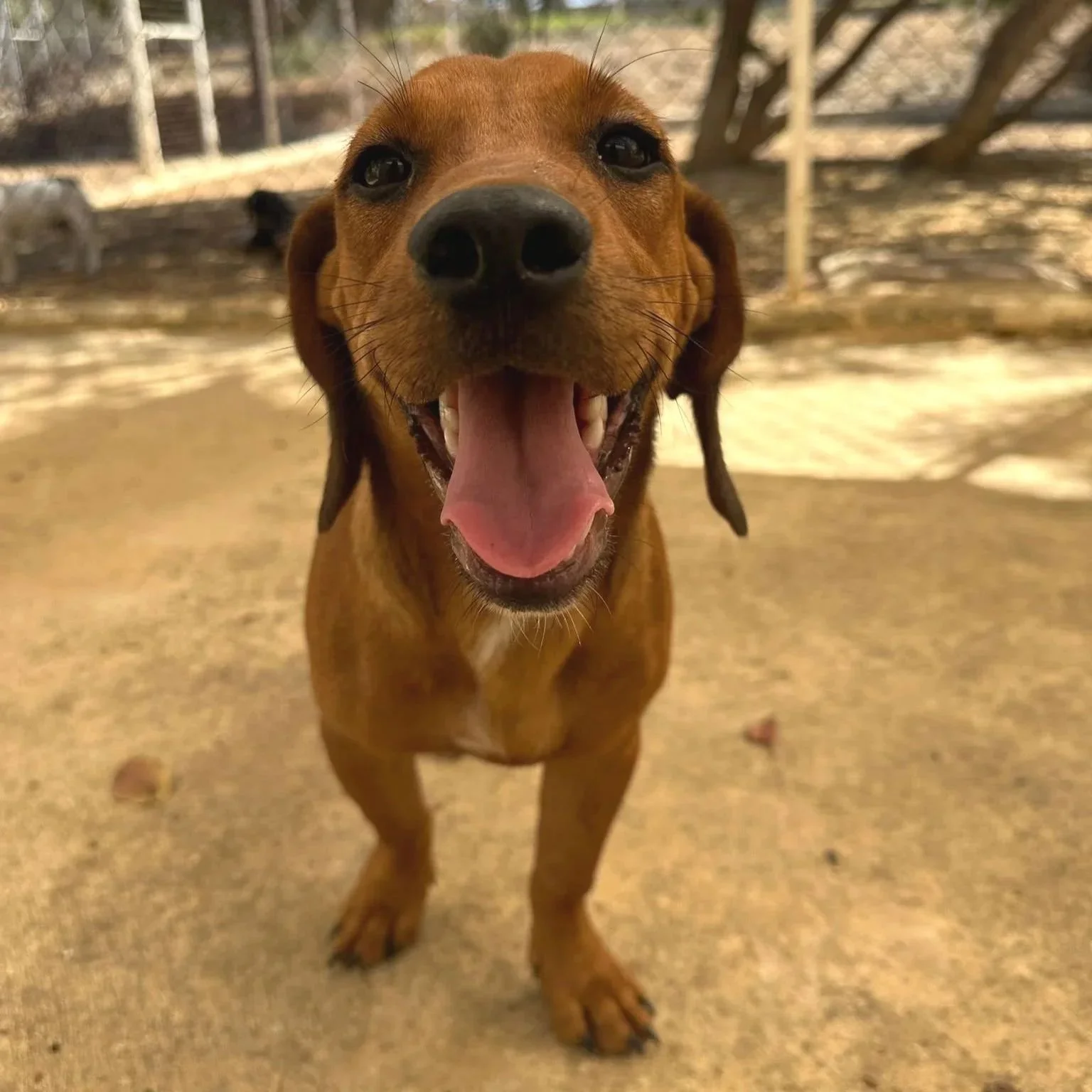 WhatsApp Image 2025-11-19 at 11.05.19.jpeg