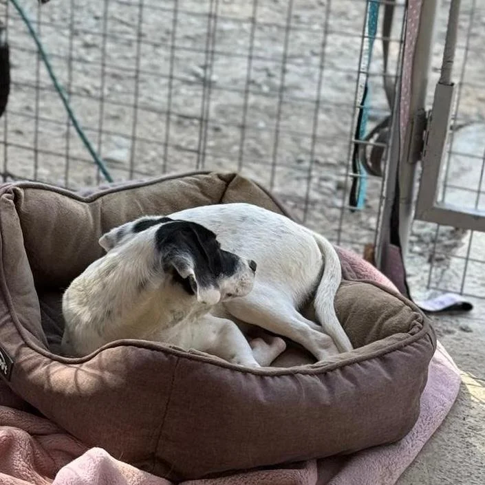 WhatsApp Image 2026-01-22 at 14.24.51 (1).jpeg