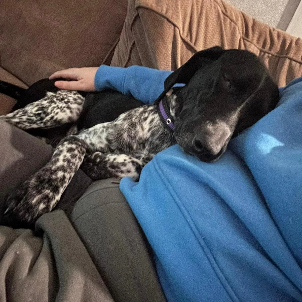 WhatsApp Image 2025-12-26 at 18.55.09 (3).jpeg