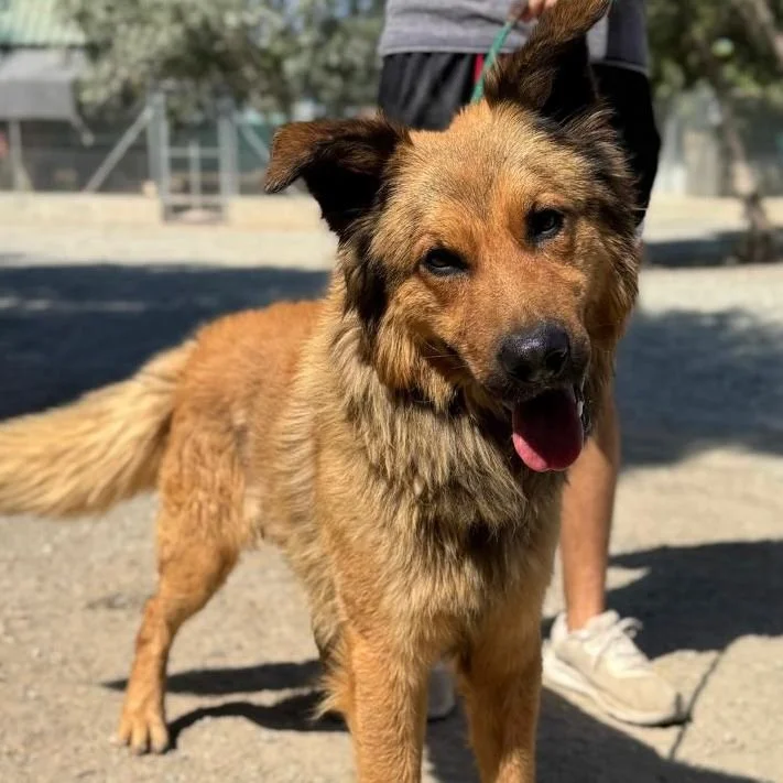 WhatsApp Image 2026-01-22 at 14.22.56 (3).jpeg