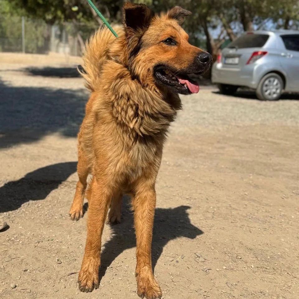 WhatsApp Image 2026-01-22 at 14.22.52.jpeg