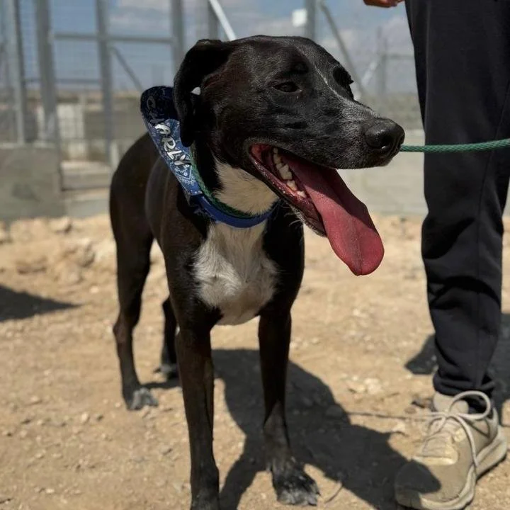 WhatsApp Image 2026-01-22 at 14.23.31.jpeg