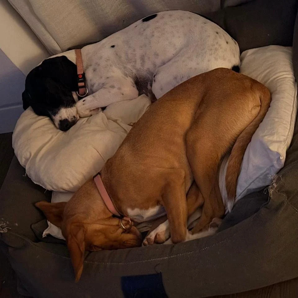 WhatsApp Image 2026-01-22 at 14.24.18 (1).jpeg