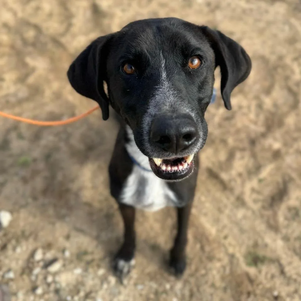 WhatsApp Image 2026-01-22 at 14.23.34.jpeg