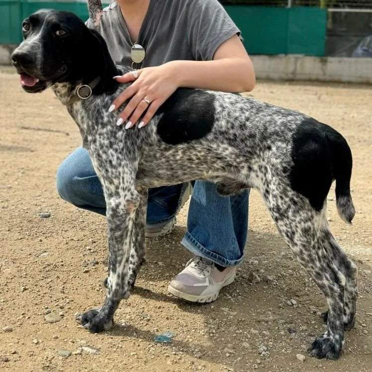 WhatsApp Image 2025-12-26 at 18.55.12 (1).jpeg