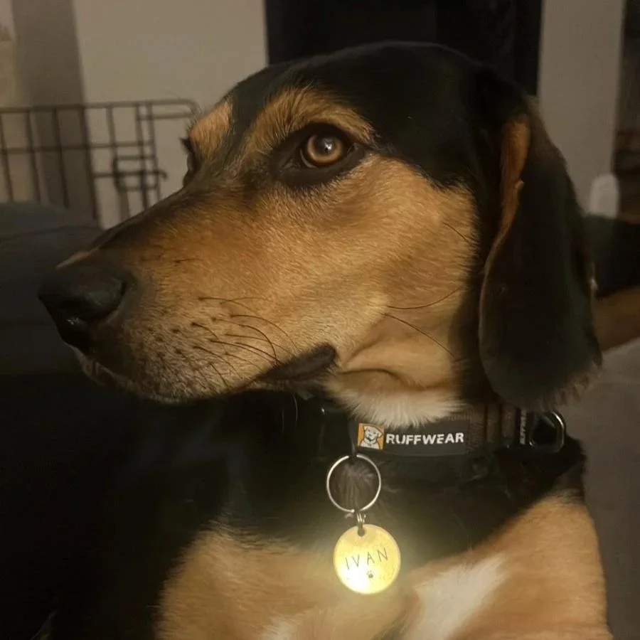 WhatsApp+Image+2026-04-16+at+19.13.48+%283%29.jpg