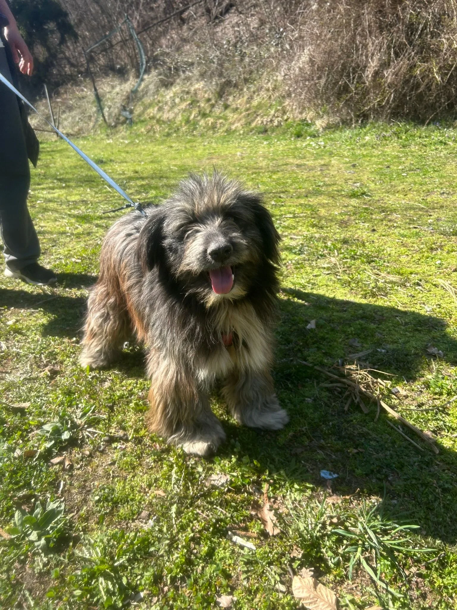 WhatsApp Image 2026-03-17 at 18.46.11 (1).jpeg