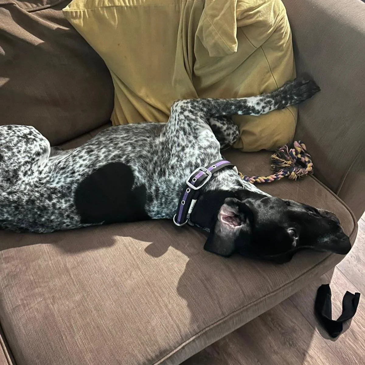 WhatsApp Image 2025-12-26 at 18.55.09 (2).jpeg