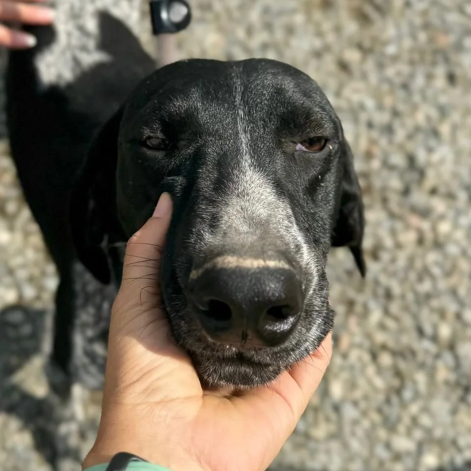 WhatsApp Image 2025-12-26 at 18.55.13.jpeg