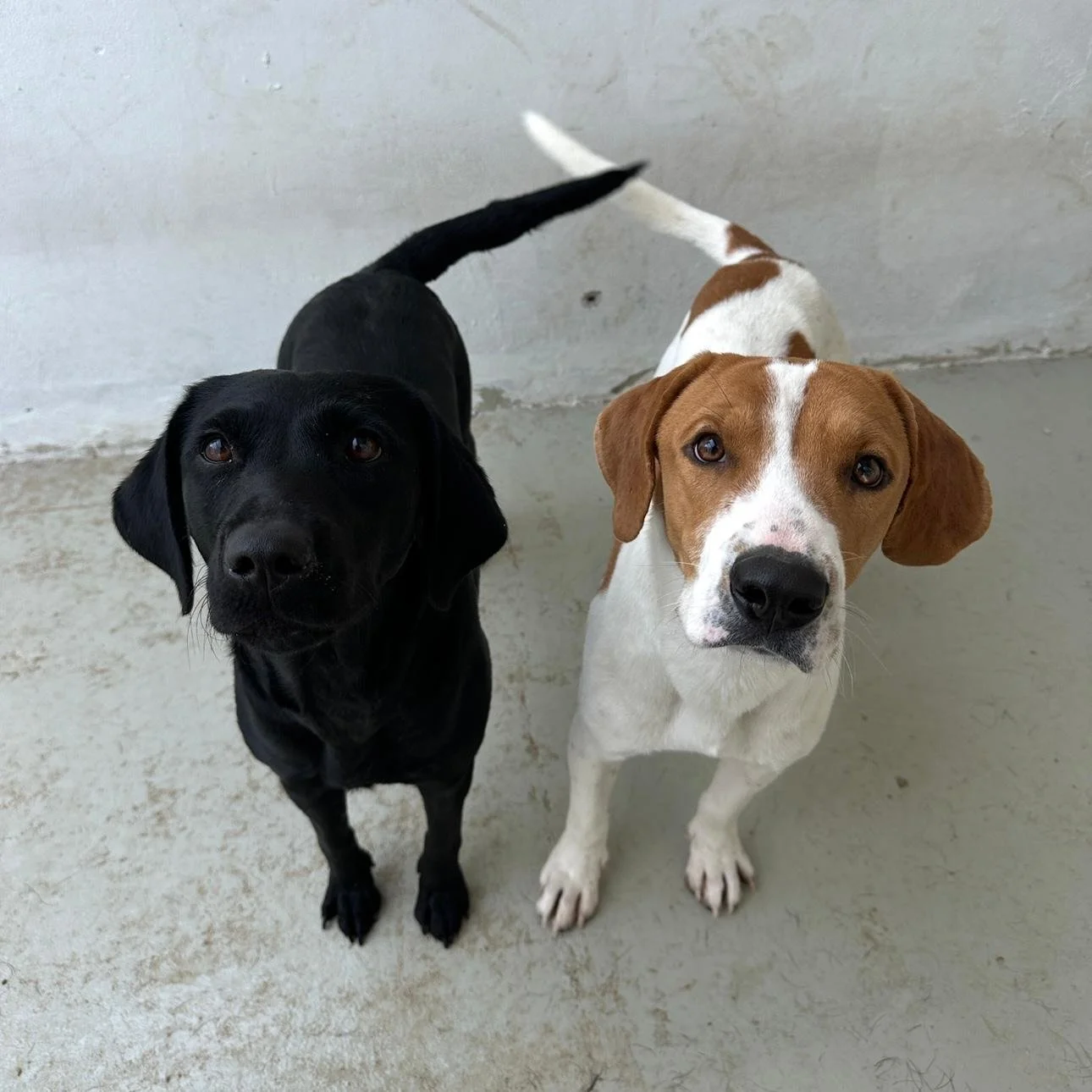 WhatsApp Image 2026-01-22 at 14.24.01 (5).jpeg