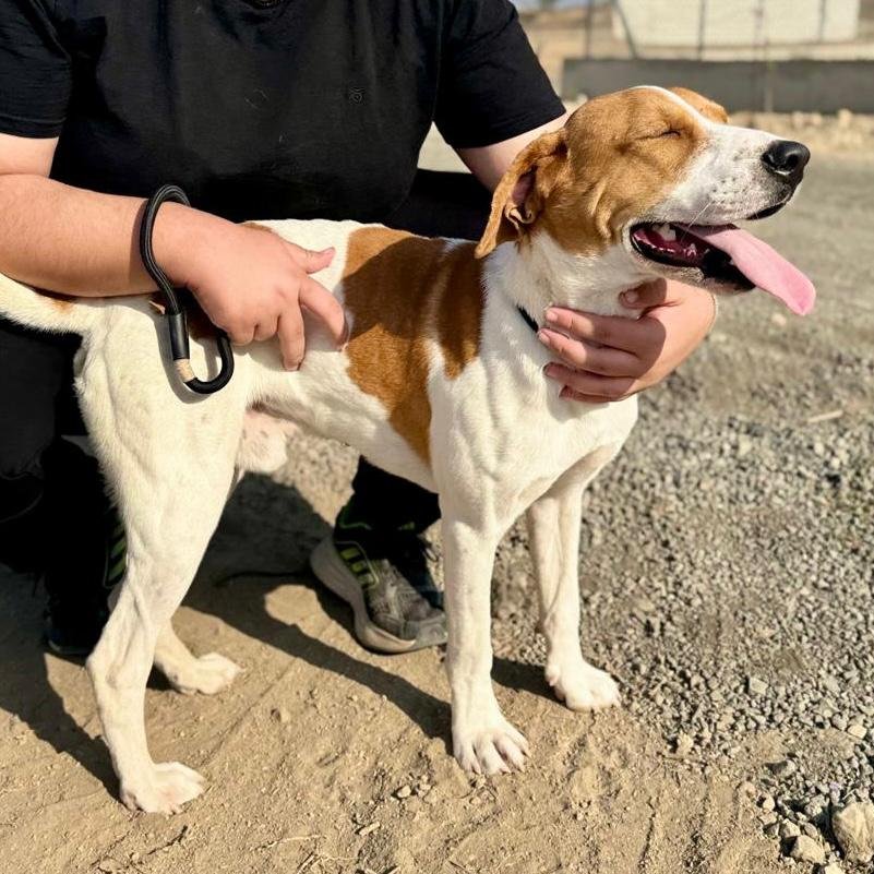 WhatsApp Image 2026-01-22 at 14.24.01.jpeg