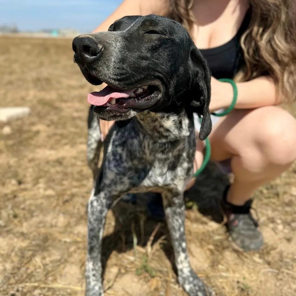 WhatsApp Image 2025-12-26 at 18.55.15.jpeg