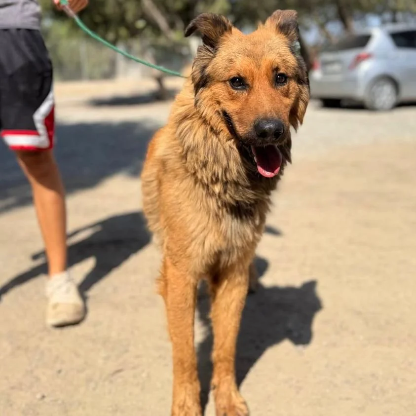 WhatsApp Image 2026-01-22 at 14.22.51.jpeg