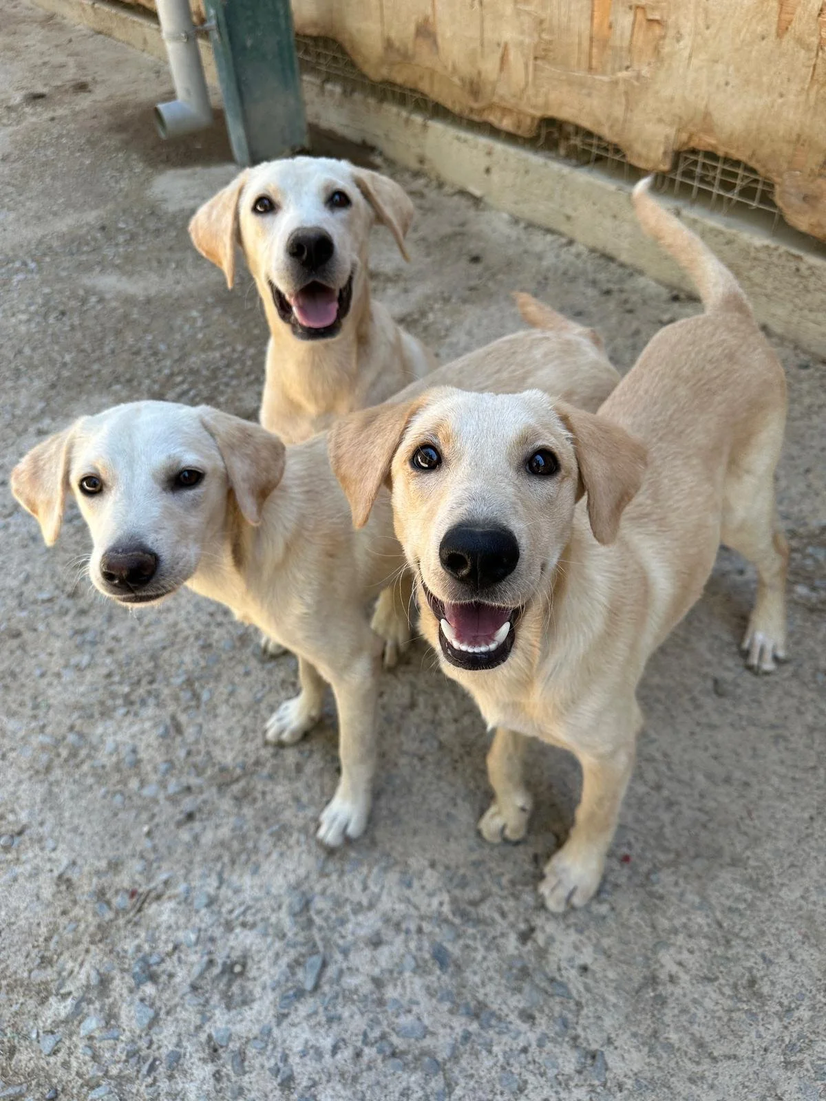 WhatsApp Image 2025-10-14 at 20.04.50 (3).jpeg