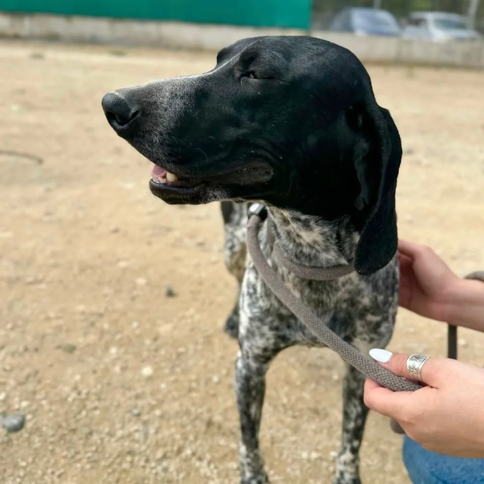 WhatsApp Image 2025-12-26 at 18.55.10.jpeg