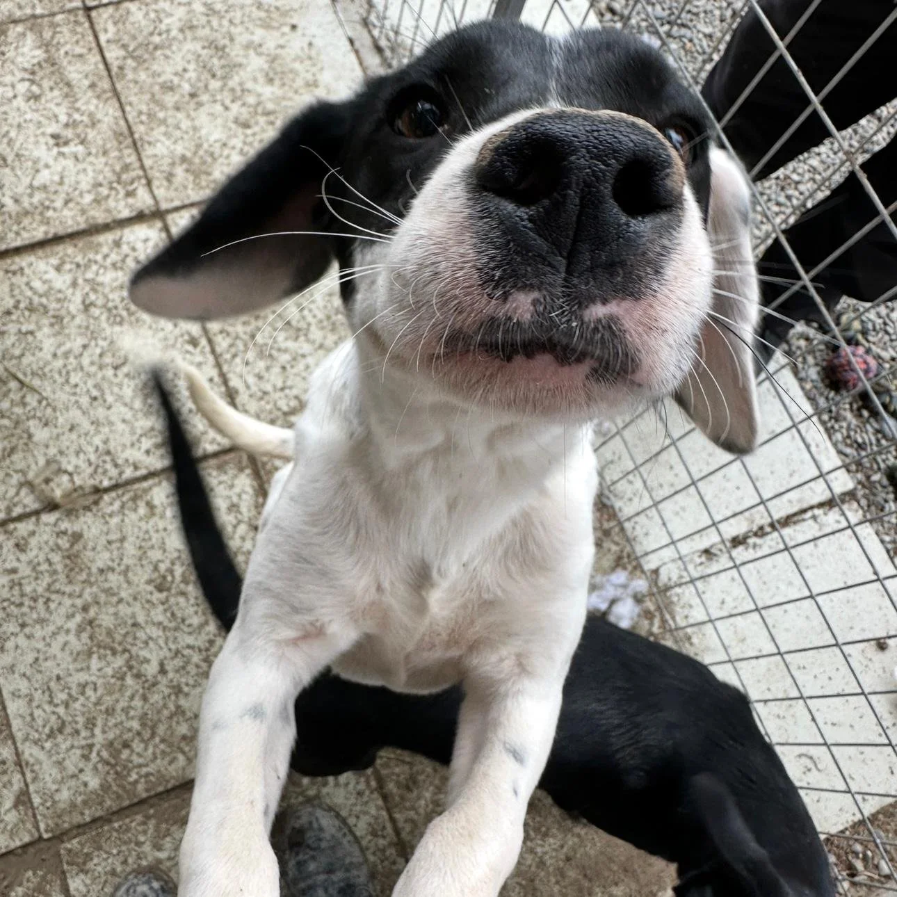 WhatsApp Image 2026-01-22 at 14.24.50 (1).jpeg