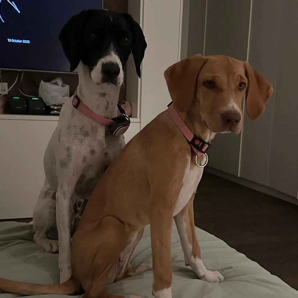 WhatsApp Image 2026-01-22 at 14.24.19 (3).jpeg