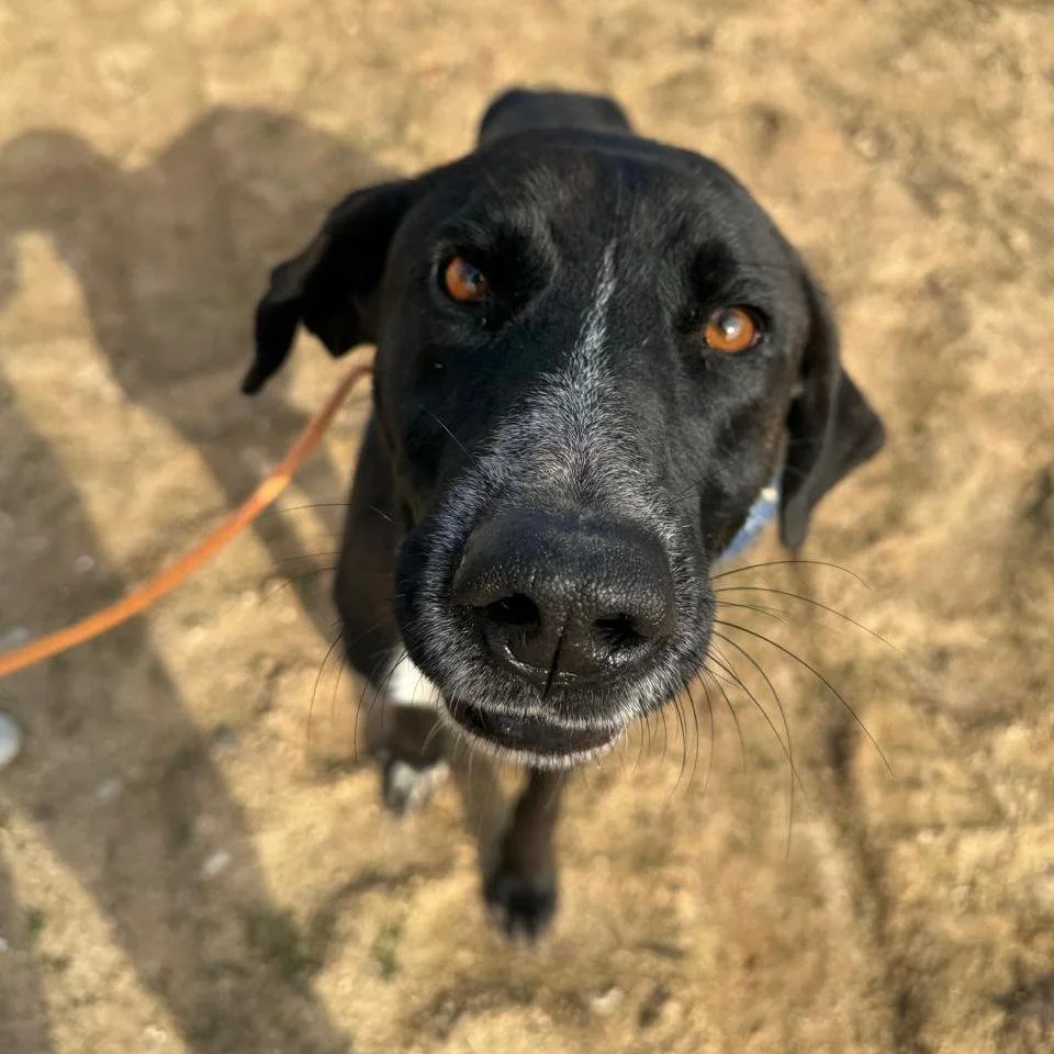 WhatsApp Image 2026-01-22 at 14.23.33 (3).jpeg