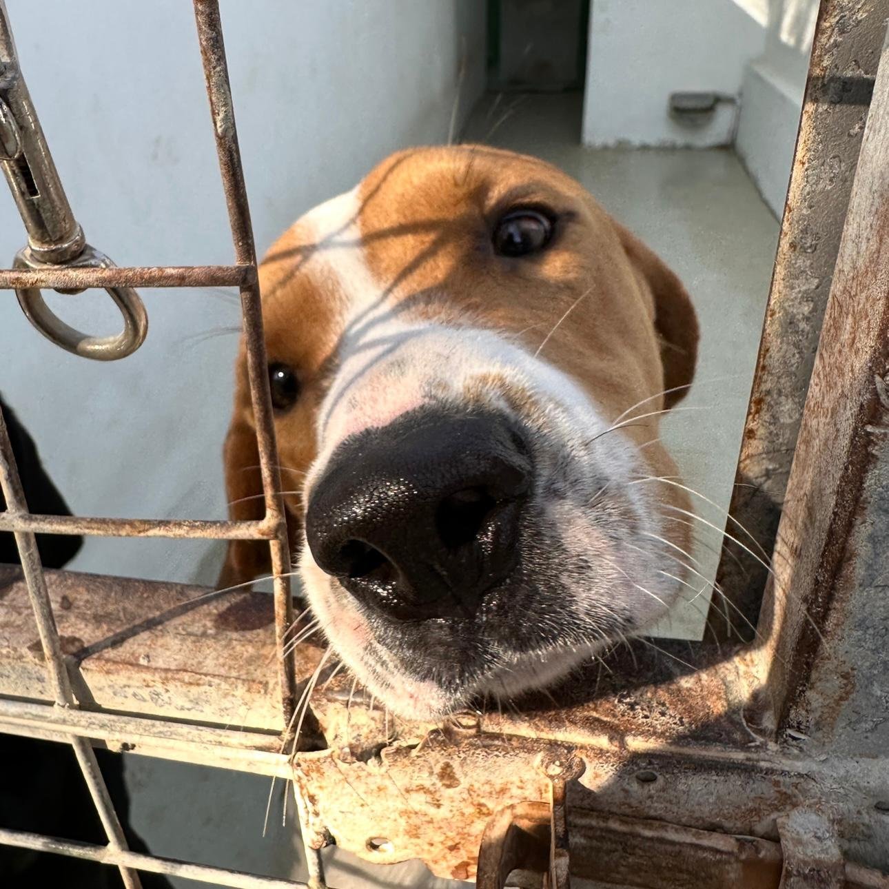 WhatsApp Image 2026-01-22 at 14.24.02 (2).jpeg