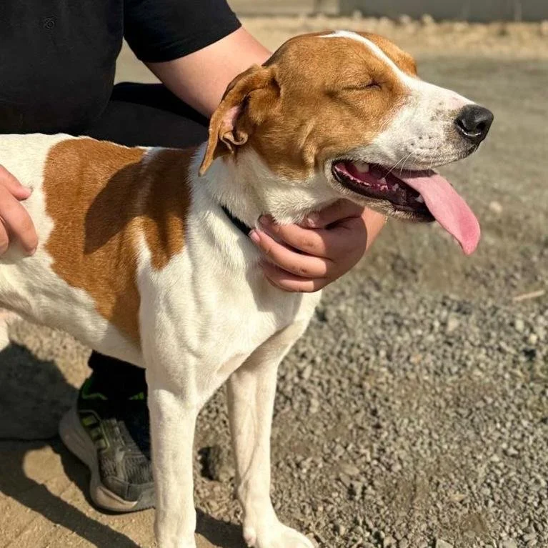 WhatsApp Image 2026-01-22 at 14.24.01 (4).jpeg