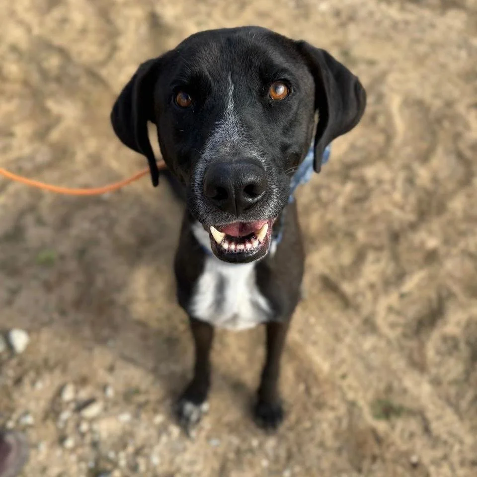 WhatsApp Image 2026-01-22 at 14.23.30.jpeg