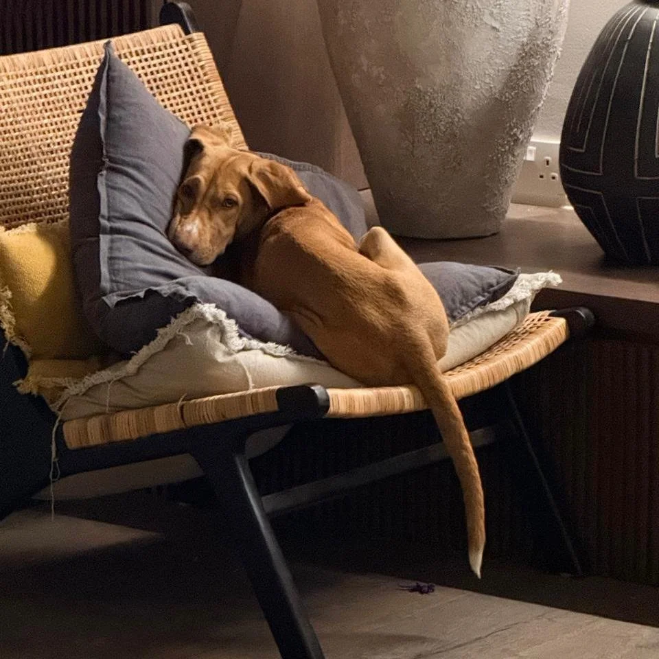 WhatsApp Image 2026-01-22 at 14.24.18 (2).jpeg