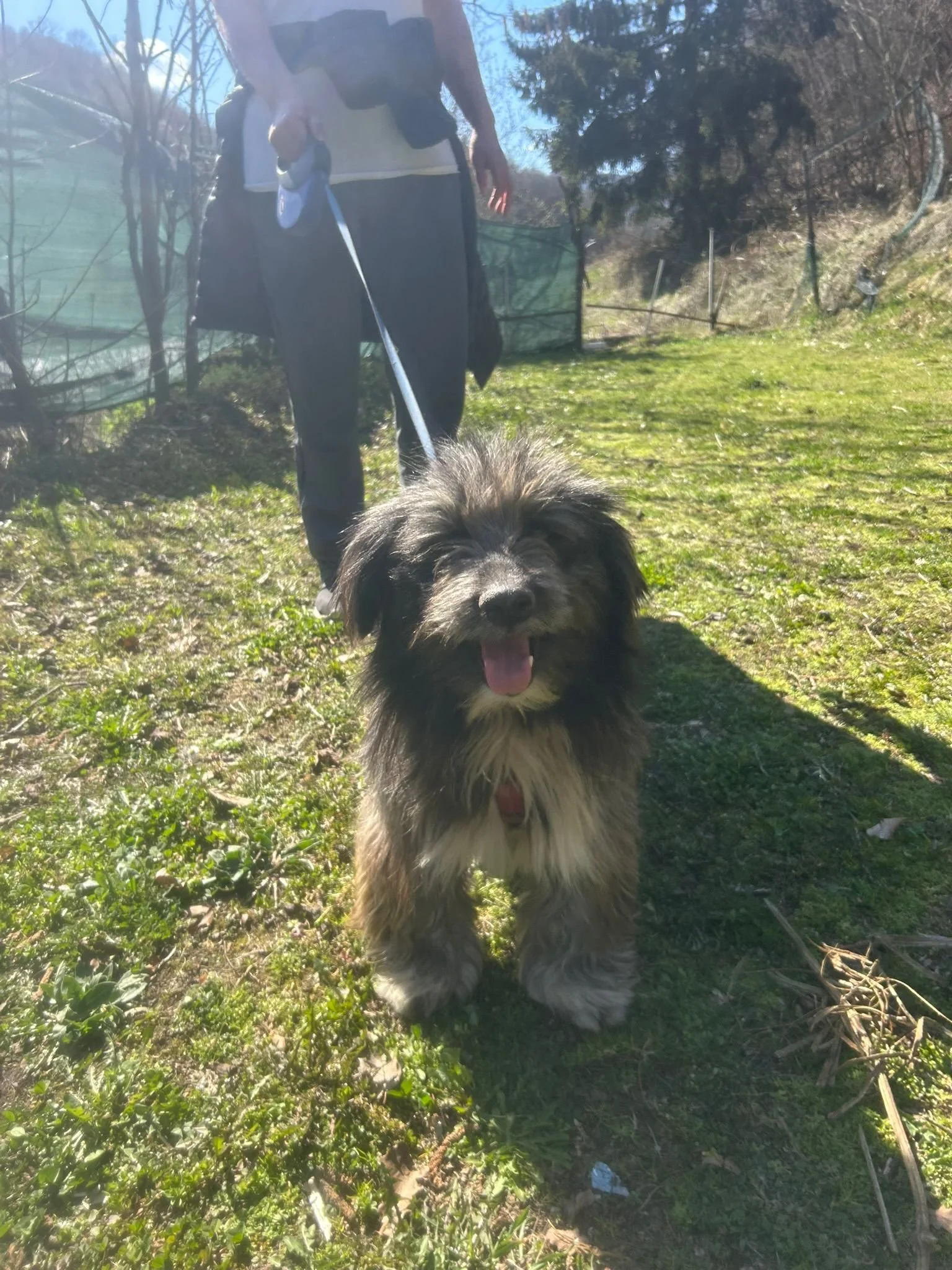 WhatsApp Image 2026-03-17 at 18.46.10 (1).jpeg