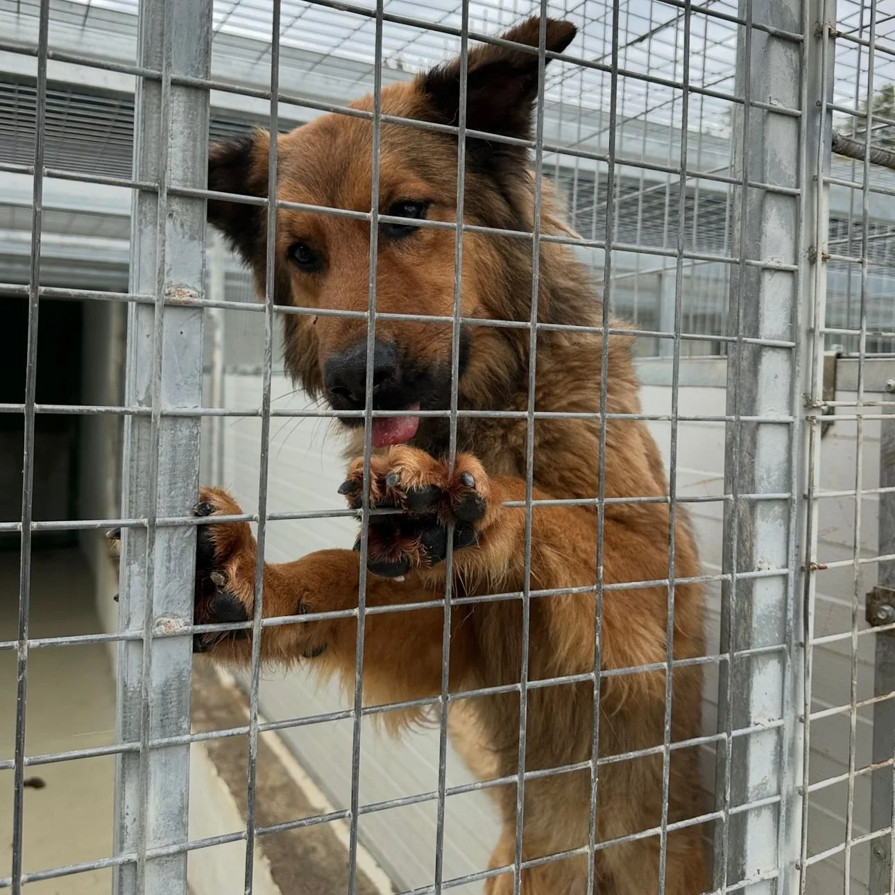 WhatsApp Image 2026-01-22 at 14.22.56 (4).jpeg