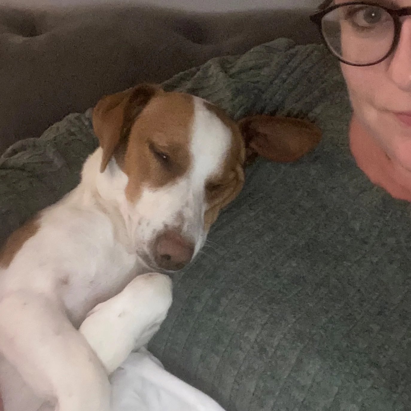 WhatsApp+Image+2026-10-07+at+10.17.47.jpg