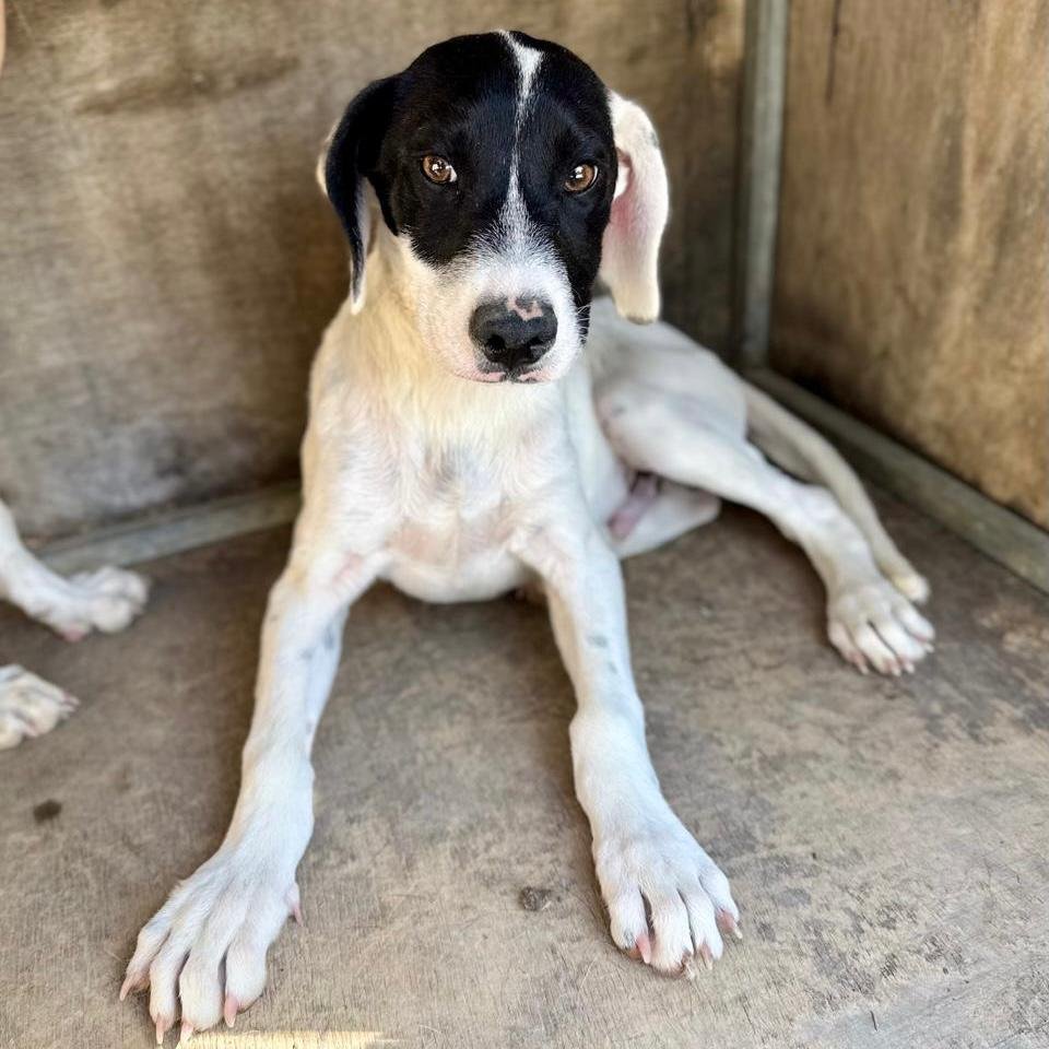 WhatsApp Image 2026-01-22 at 14.24.51.jpeg