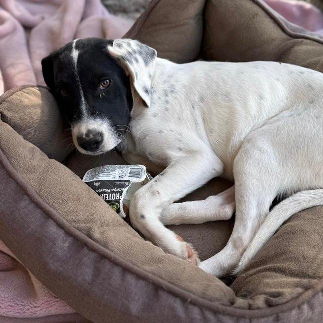 WhatsApp Image 2026-01-22 at 14.24.52.jpeg