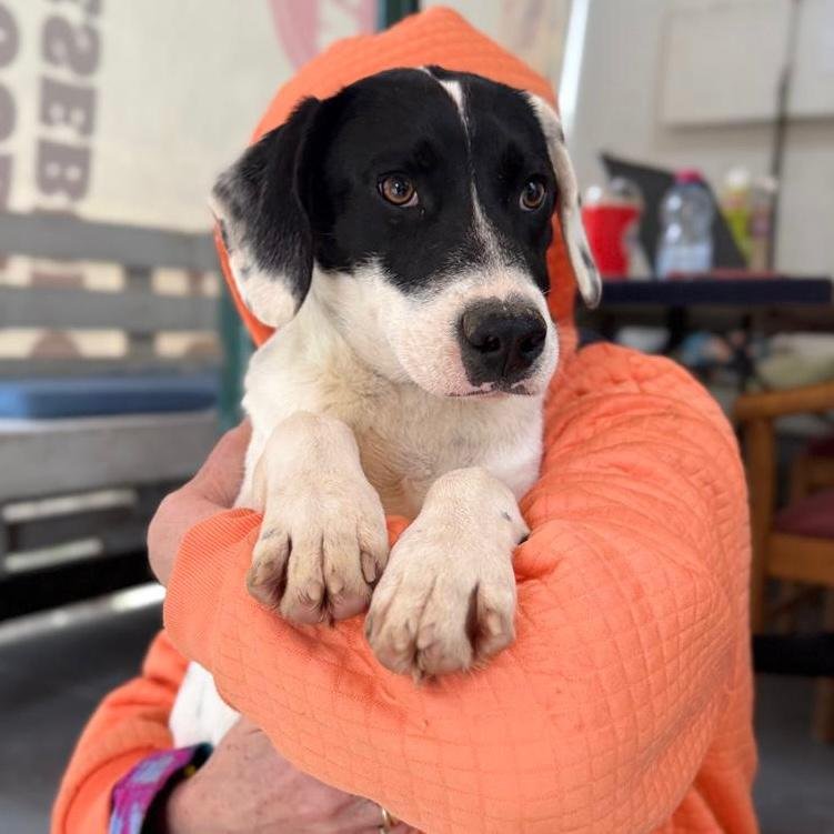 WhatsApp Image 2026-01-22 at 14.24.51 (3).jpeg