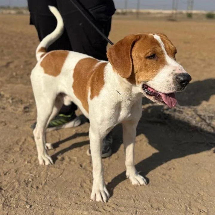 WhatsApp Image 2026-01-22 at 14.23.58.jpeg