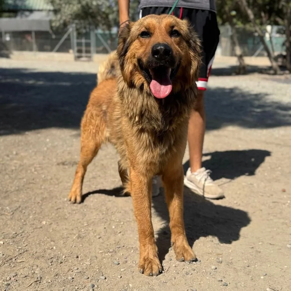 WhatsApp Image 2026-01-22 at 14.22.55 (4).jpeg