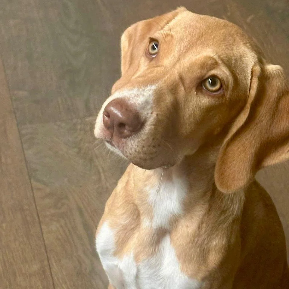 WhatsApp Image 2026-01-22 at 14.24.19.jpeg