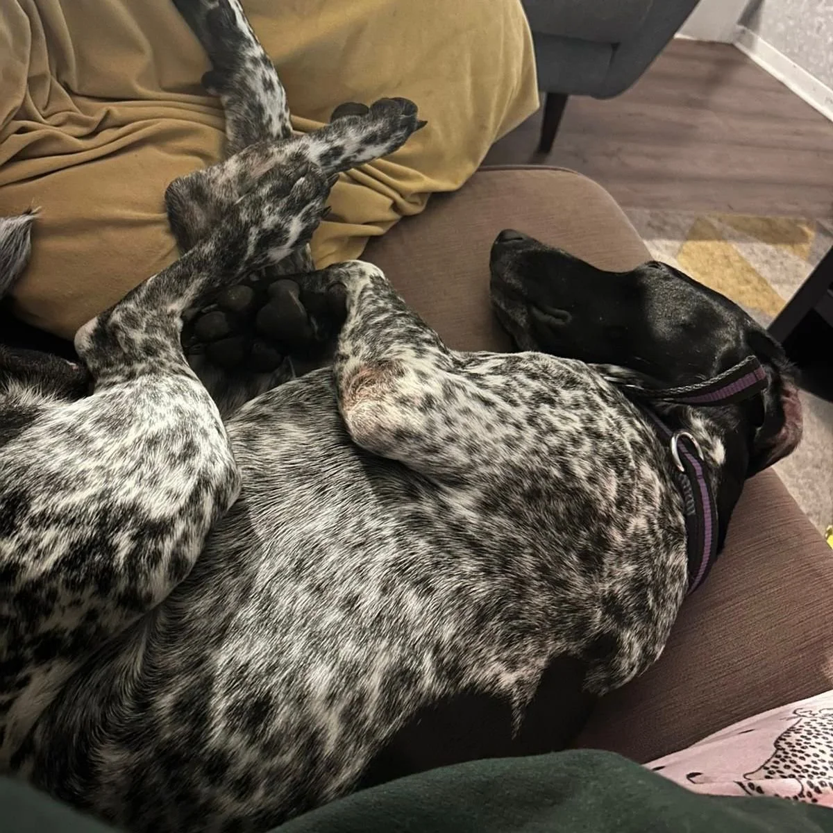 WhatsApp Image 2025-12-26 at 18.55.09 (5).jpeg