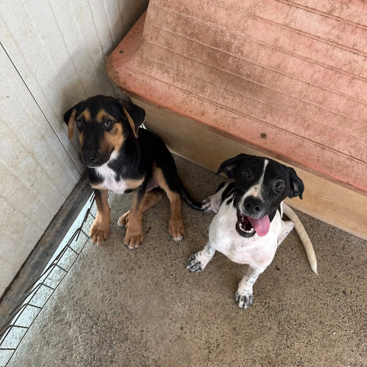 WhatsApp+Image+2026-09-20+at+14.12.10.jpg