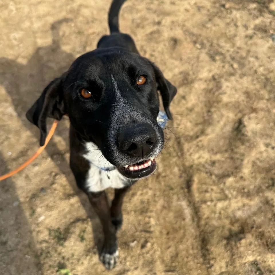 WhatsApp Image 2026-01-22 at 14.23.33 (4).jpeg