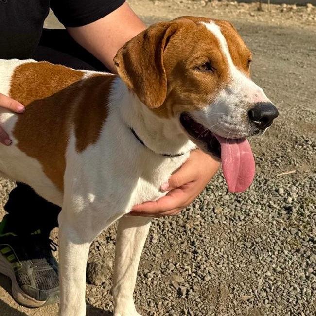 WhatsApp Image 2026-01-22 at 14.24.01 (3).jpeg