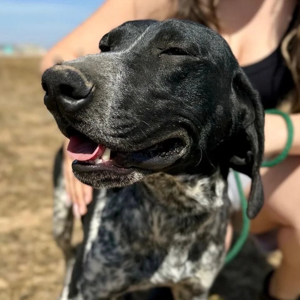 WhatsApp Image 2025-12-26 at 18.55.04.jpeg