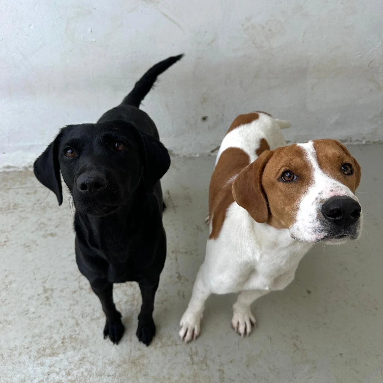 WhatsApp Image 2026-01-22 at 14.24.02.jpeg